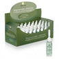 Arual Regenerador Extreme 10ml 1 U